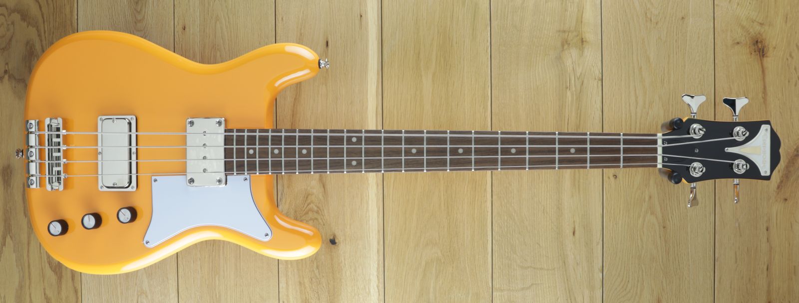Epiphone newport shop