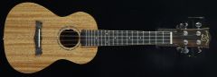 Snail M2 Concert Electro Ukulele with Bag