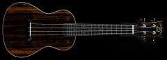 Snail UKC-T483EQ Electro Concert Ukulele with Bag