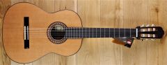 Raimundo 136 Cedar