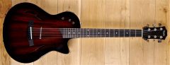 Taylor T5z Classic DLX ~ Secondhand