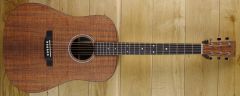 Martin DX1 Special Edition Koa 2801288