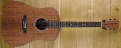 Martin DX1 Special Edition Koa