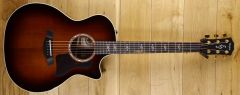 Taylor 414CE 50th Anniversary Special Edition