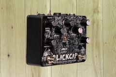 Old Blood Noise Endeavours Blackcap Dual Harmonic Tremolo