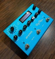 Strymon Big Sky MX Multi Reverb ~ Secondhand