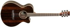 Tanglewood DBT SFCE AEB *With Case*
