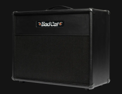 Bad Cat Era 112 Cabinet ~ Due Soon