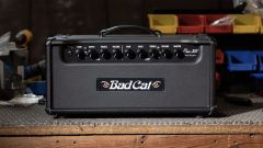 Bad Cat Era 30 Head ~ More Due Soon