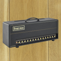 Friedman BE-100 Deluxe Head