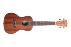 Kala KA-CG Concert Uke