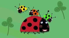 Michael B ~ Deposit Page for Ladybird