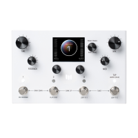 Meris LVX Delay System