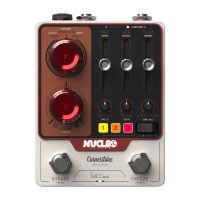 Cornerstone Nucleo Stereo Reverb