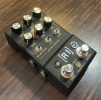 Walrus Audio MAKO Series: R1 High-Fidelity Stereo Reverb ~ Secondhand