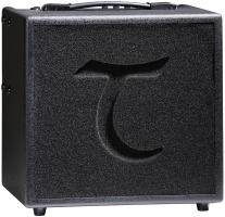 Tanglewood T6 Acoustic Amplifier + Gig Bag