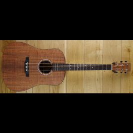 Martin shop dx1 koa
